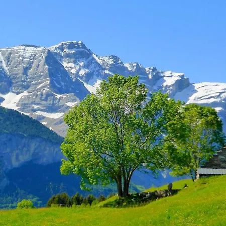 La Bergerie De Sentantony - Val D'azun - Montagne Pyrenees Alpehytte Bun