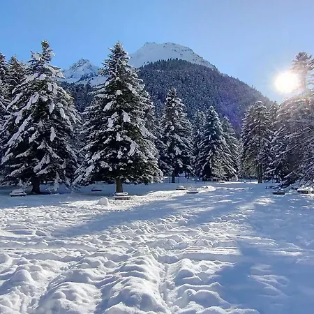 Alpehytte La Bergerie De Sentantony - Val D'azun - Montagne Pyrenees Bun