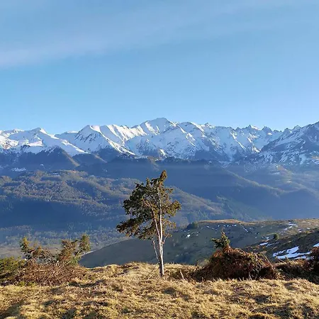 La Bergerie De Sentantony - Val D'azun - Montagne Pyrenees *