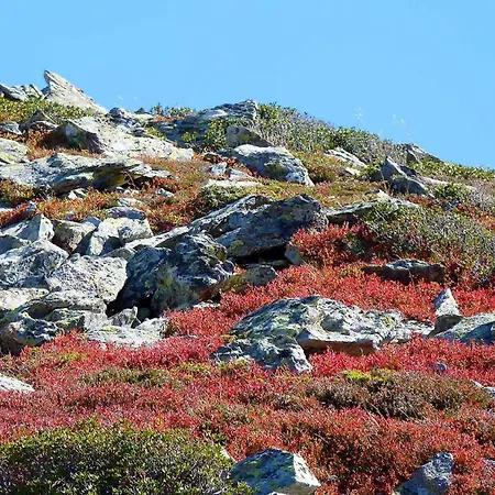 La Bergerie De Sentantony - Val D'azun - Montagne Pyrenees Chalet