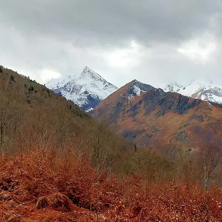 La Bergerie De Sentantony - Val D'azun - Montagne Pyrenees Шале *