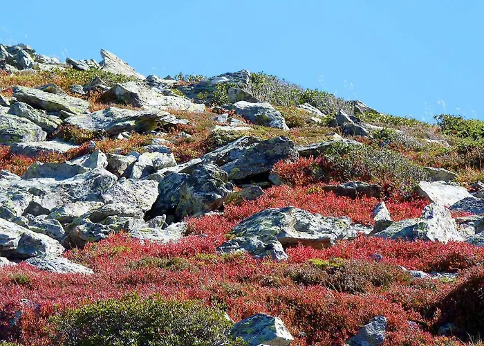 La Bergerie De Sentantony - Val D'azun - Montagne Pyrenees Шале