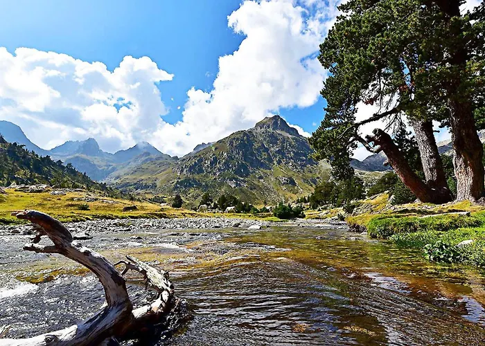 La Bergerie De Sentantony - Val D'azun - Montagne Pyrenees Шале